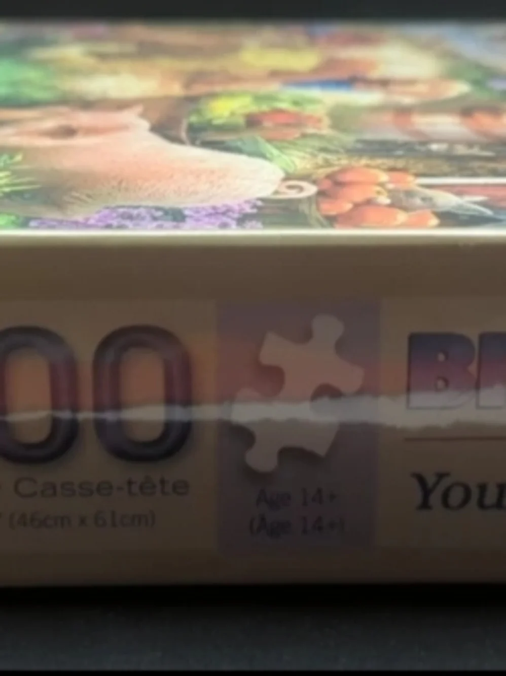 Sealed- Bits and Pieces -  500 Piece Jigsaw Puzzle - Hide and Seek - 18